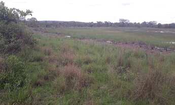 Imagem: Compre sua Fazendinha Rural na divisa de