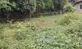 Imagem: Vendo terreno em Belterra