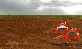 Imagem 3: Sítio 13 Alqueires Região De Igarapava/SP