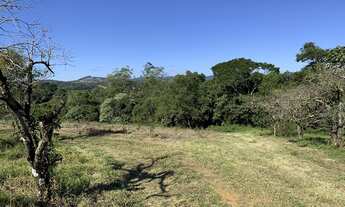 Imagem 6: TERRENO RURAL 20.000M2 PLANO COCUERA