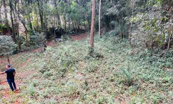 Imagem 7: Chácara financiada na roça com agua e luz aceito carro