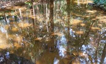 Imagem 5: Alugo um excelente chácara em taquaruçu