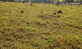 Imagem 7: Sítio 15 Alqueires