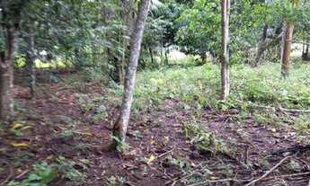 Imagem 2: Vendo terreno em Belterra