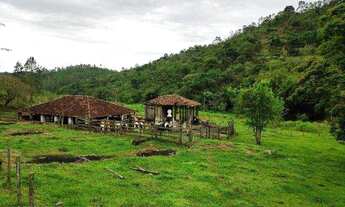 Imagem 5: Linda Fazenda Centenária