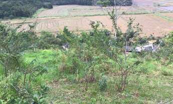 Imagem 5: Barbada! Oportunidade! Terreno rural ótimo preço Camboriu Sc