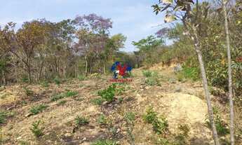 Imagem 3: TAQUARAÇU DE MINAS - Terreno Padrão - MORADA DA SERRA
