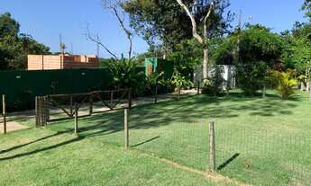 Imagem 5: Feriado Semana Santa