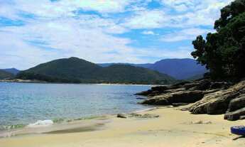 Imagem: Lote/Terreno para venda tem 5000 metros