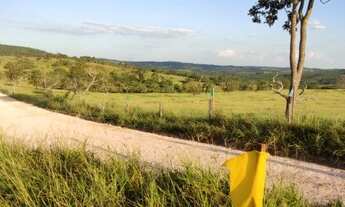 Imagem 2: Fazendinha com o Rio Pará passando ao fundo 20000 metros quadrados em São Gonçalo do Pará