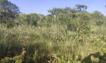 Imagem: Terreno na Praia Ilha Comprida litoral sul