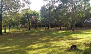 Imagem 6: Tche Louco Área de terra 1.2 Hectares Zona Rural de Sapucaia do Sul, RS de barbada!!!