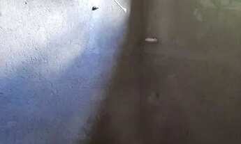 Imagem 6: Casa para venda tem 53 metros quadrados com 2 quartos em Águas Lindas - Ananindeua - Pará