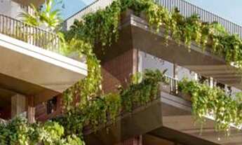 Imagem 4: DM- Flats na beira mar de Porto galinhas em frente às piscinas naturais. A partir de 452 m