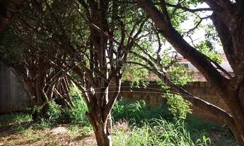 Imagem 3: Venda de Casas / Padrão na cidade de Araraquara