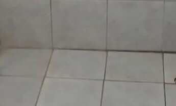 Imagem 4: Casa Casa com 2 dormitórios