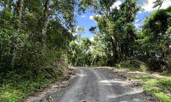 Imagem 5: Sitio em Alfredo Wagner