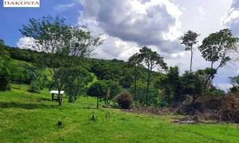 Imagem 6: 7.3 Alqueires todo cercado e gramada dá metade de lavoura perto da PR 180