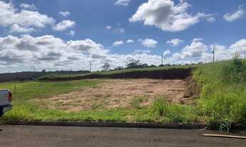 Imagem 2: Terreno - Bairro Vista alegre - 1000 Mts