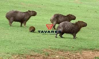 Imagem 7: LOTE RURAL em TAQUARAÇU DE MINAS - MG, Centro