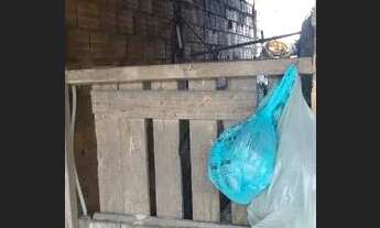 Imagem 6: Casa Casa com 1 dormitório