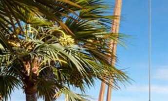 Imagem 6: DM- Flats na beira mar de Porto galinhas em frente às piscinas naturais. A partir de 452 m