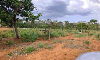 Imagem 4: Chácara DF Planaltina Escriturada Morumbi
