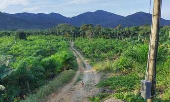 Imagem 3: Sítio 46 hectares Produção de Banana, Pupunha, Rio (Willian Ricardo