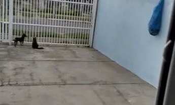 Imagem 7: Casa a venda em ELDORADO DO SUL