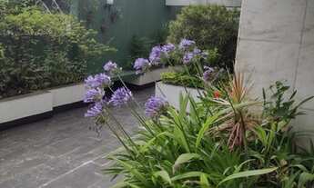 Imagem 3: Apartamento para aluguel possui 70 metros quadrados com 2 quartos em Vila Mariana - São Pa