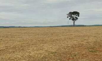 Imagem 5: 10 alqueiro a 800 metros de Nazário -go