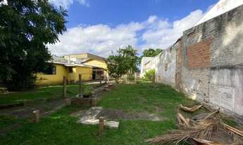 Imagem 7: PORTO ALEGRE - Casa Padrão - Jardim Floresta