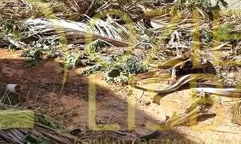 Imagem 3: LOTE 400m COM 9m DE FRENTE 100% PLANO MURADO COM PORTÃO COM PISCINA CONDOMÍNIO RUA 12 VICE