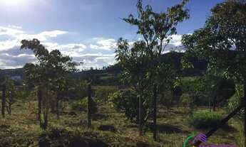 Imagem 3: TERRENO - BOM RETIRO - SP