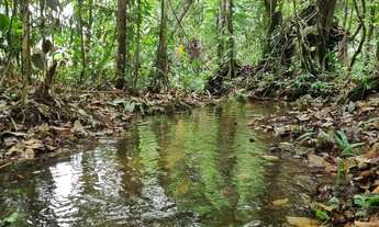 Imagem 7: Vendo terreno com igarape