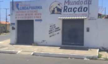 Imagem 5: Ponto comercial em Campo Maior