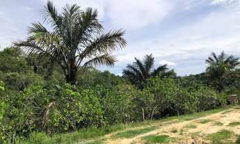 Imagem 3: Sitio no Puraquequara