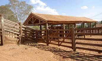 Imagem 3: Fazenda 65 alquires em Baliza GO