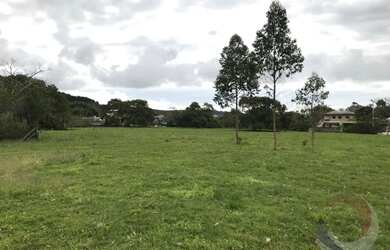 Imagem: Sítio/Fazenda de 50083.2m² no bairro Vargem