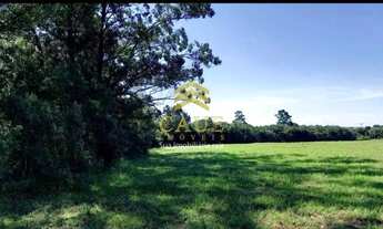 Imagem 2: Imóvel para venda tem 40000 metros quadrados em Águas Claras - Viamão - RS