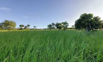 Imagem 4: Imóvel para venda possui 1010000 metros quadrados em Centro - Arinos - MG