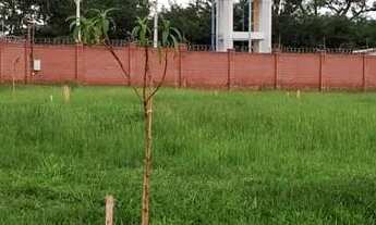 Imagem 2: Imóvel para venda possui 493 metros quadrados de lote 15frente X 25 lateral