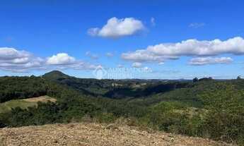 Imagem 3: Área Pinhal Alto- Nova Petrópolis/RS