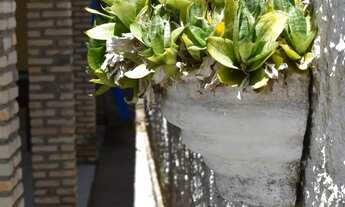 Imagem 7: Alugo casa em Graçandu