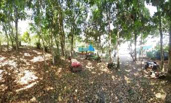 Imagem 7: Sítio na Vargem Pequena em Florianópolis