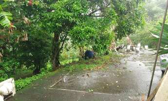 Imagem 5: Sitio a venda, Cidade Lamim - MG