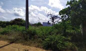 Imagem: Lote medindo 432 m² no Loteamento RGA