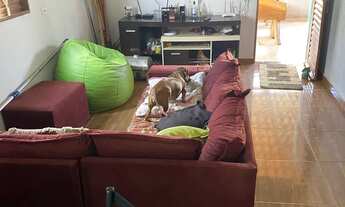 Imagem 5: CHÁCARA DE 3 mil metros com piscina e pomar