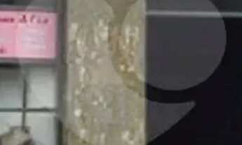 Imagem: Salão Comercial para locação em Limão