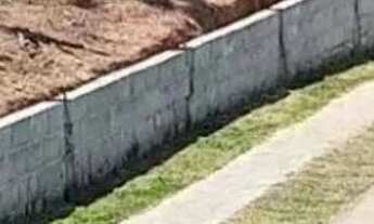 Imagem 6: CASA TÉRREA - JARDIM MARACANÃ - SP